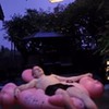лучшие фото Максим Маркелов лучшие фото Максим Маркелов
