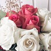 реклама на блоге Кристина Жукова реклама на блоге Кристина Жукова