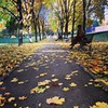реклама на блоге Ирина Рабах реклама на блоге Ирина Рабах