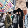 разместить рекламу в блоге Павел Даиси разместить рекламу в блоге Павел Даиси
