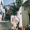 фотография Анна Звижинская фотография Анна Звижинская