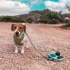 фотография Анастасия Королева фотография Анастасия Королева