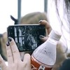 фотография Catlucif фотография Catlucif