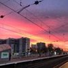фото Вера Vera8grib фото Вера Vera8grib