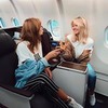 реклама в блоге Ира Раф реклама в блоге Ира Раф