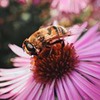 фотография Марина Числова фотография Марина Числова