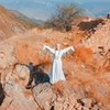 фотография Наталья Османн фотография Наталья Османн