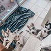 заказать рекламу у блоггера Станислав заказать рекламу у блоггера Станислав