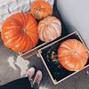фотография Дарья Садовая фотография Дарья Садовая