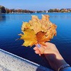 реклама у блоггера Наталья Горбатова реклама у блоггера Наталья Горбатова