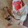фотография Ольга Ефременко фотография Ольга Ефременко