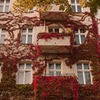 фотография Дара Мускат фотография Дара Мускат