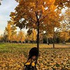 разместить рекламу в блоге Мария Кузаева разместить рекламу в блоге Мария Кузаева