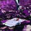 реклама у блоггера Юлия Счастливая реклама у блоггера Юлия Счастливая
