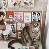 фото на странице Анастасия Лаврентьева фото на странице Анастасия Лаврентьева