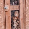 фото на странице Маргарита Кан фото на странице Маргарита Кан