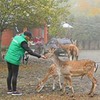 фотография Катарина Снигур фотография Катарина Снигур