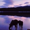 фотография Кристина Макеева фотография Кристина Макеева