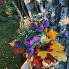 фотография Катя Беликова фотография Катя Беликова