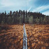 лучшие фото Илья Воскресенский лучшие фото Илья Воскресенский