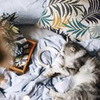 фотография Анна Позняк-Ибатулина фотография Анна Позняк-Ибатулина