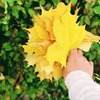 новое фото Маргарита Стрекалова новое фото Маргарита Стрекалова