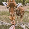 фото Дарья-Агата Максимова фото Дарья-Агата Максимова