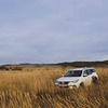 лучшие фото Антон Бабиков лучшие фото Антон Бабиков