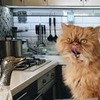 реклама у блоггера Мария Миногарова реклама у блоггера Мария Миногарова