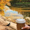 фотография Севара Вердиева фотография Севара Вердиева