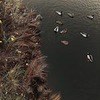 заказать рекламу у блоггера Оксана Шальнева заказать рекламу у блоггера Оксана Шальнева