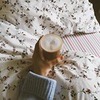 новое фото Анастасия Лаврентьева новое фото Анастасия Лаврентьева
