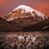 фотография Лена Пиннивуф фотография Лена Пиннивуф