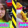 реклама на блоге iraatwins реклама на блоге iraatwins