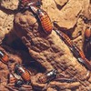 новое фото Алексей Якушечкин новое фото Алексей Якушечкин