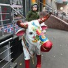 фотография Мансур Шангареев фотография Мансур Шангареев