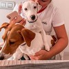 фото Анастасия Королева фото Анастасия Королева