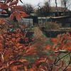 фото на странице CAMvsMAN фото на странице CAMvsMAN