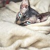 фото Ольга Иванело фото Ольга Иванело