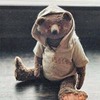 лучшие фото Ольга Иванело лучшие фото Ольга Иванело