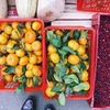 разместить рекламу в блоге Екатерина Брофловски разместить рекламу в блоге Екатерина Брофловски