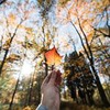 лучшие фото Андрей Свистунов лучшие фото Андрей Свистунов