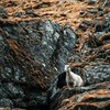 фото на странице Павел Швай фото на странице Павел Швай
