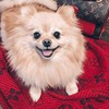 новое фото Мария Восс новое фото Мария Восс