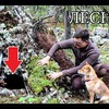 реклама у блоггера Денис Емцев реклама у блоггера Денис Емцев