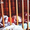 реклама в блоге senyamiro реклама в блоге senyamiro