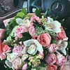 новое фото Катя Роллс новое фото Катя Роллс