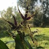 реклама на блоге Виктория Кройтор реклама на блоге Виктория Кройтор