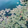 новое фото Катя Шелег новое фото Катя Шелег