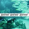 реклама на блоге Марина Магги реклама на блоге Марина Магги